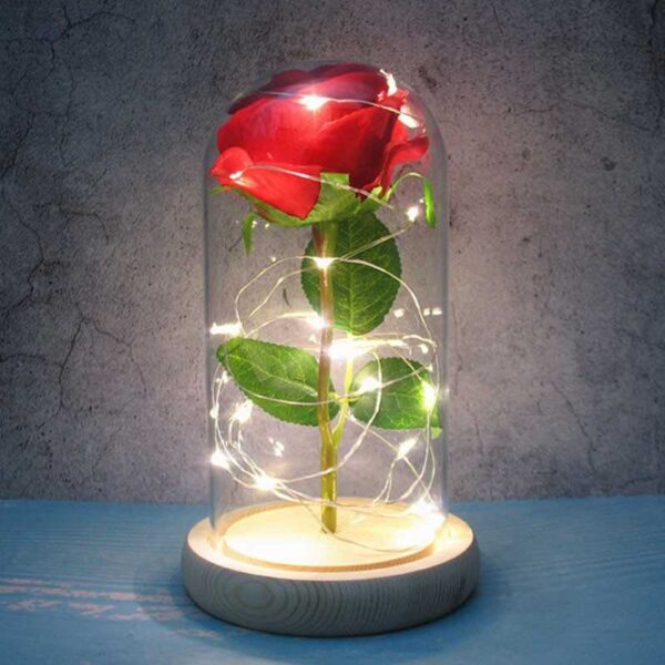 Rose lanterne med LED lys
