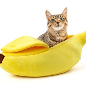 Spralla Banan Katteseng