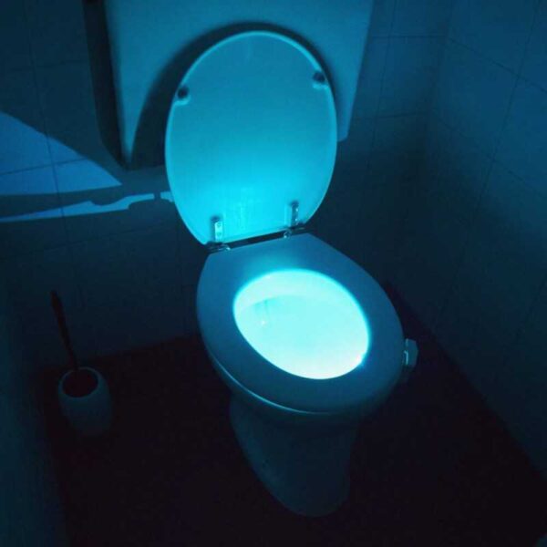 Toilet LED lys